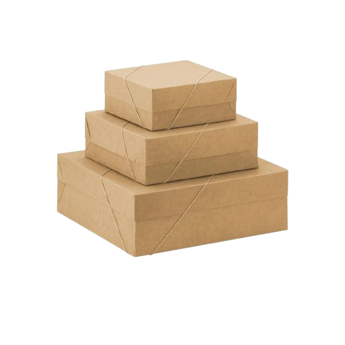 Design_sem_nome_1_-removebg-preview 1